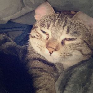 Alienhobbies1👽🌻